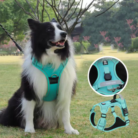 Anti-Pull Harness – Control, comfort, and safety on walks